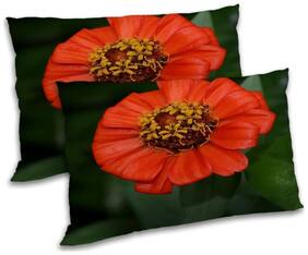 RADANYA Polyester Printed Pillow Covers ( Pack of 2 , Multi )