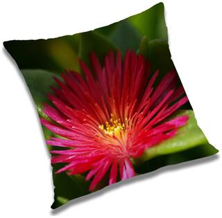 RADANYA Floral Cushion Cover 24x24 inch
