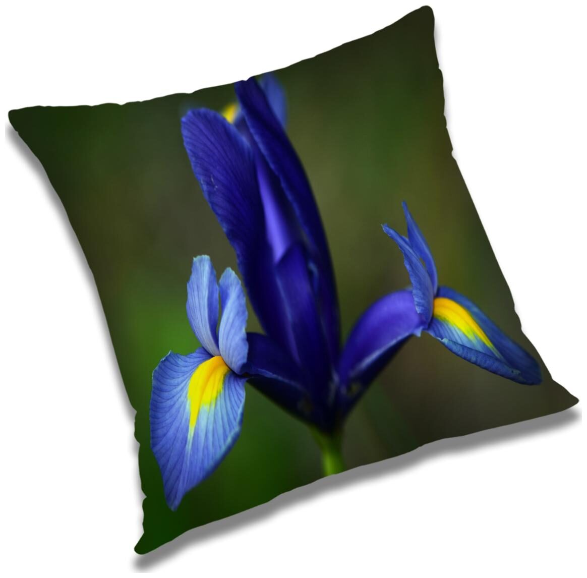 

RADANYA Floral Cushion Cover with Filler Set 18x18 inch
