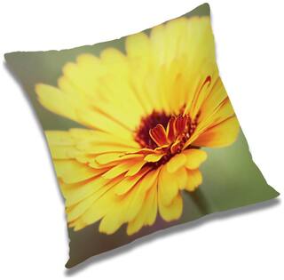 RADANYA Floral Cushion Cover 12x12 inch