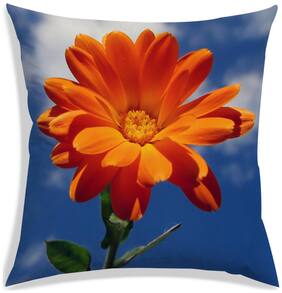RADANYA Floral Polyester Yellow Cushion Cover ( Large , Pack of 1 )