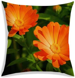 RADANYA Floral Polyester Green Cushion Cover ( Extra large , Pack of 1 )