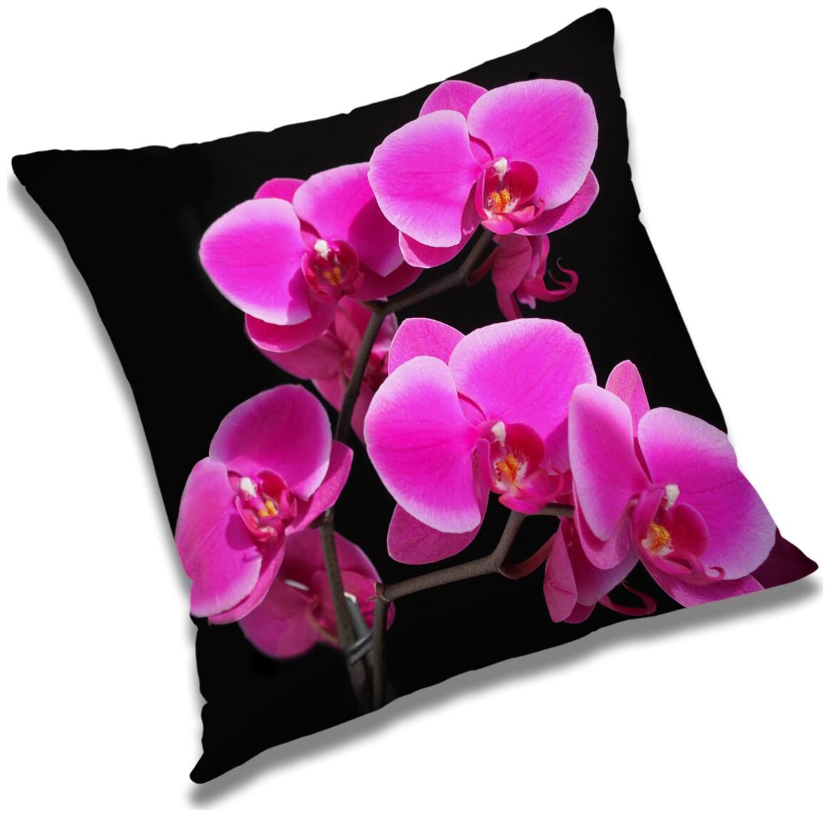https://assetscdn1.paytm.com/images/catalog/product/H/HO/HOMRADANYA-FLORRADA993403A619ED1/1563045565911_0..jpg