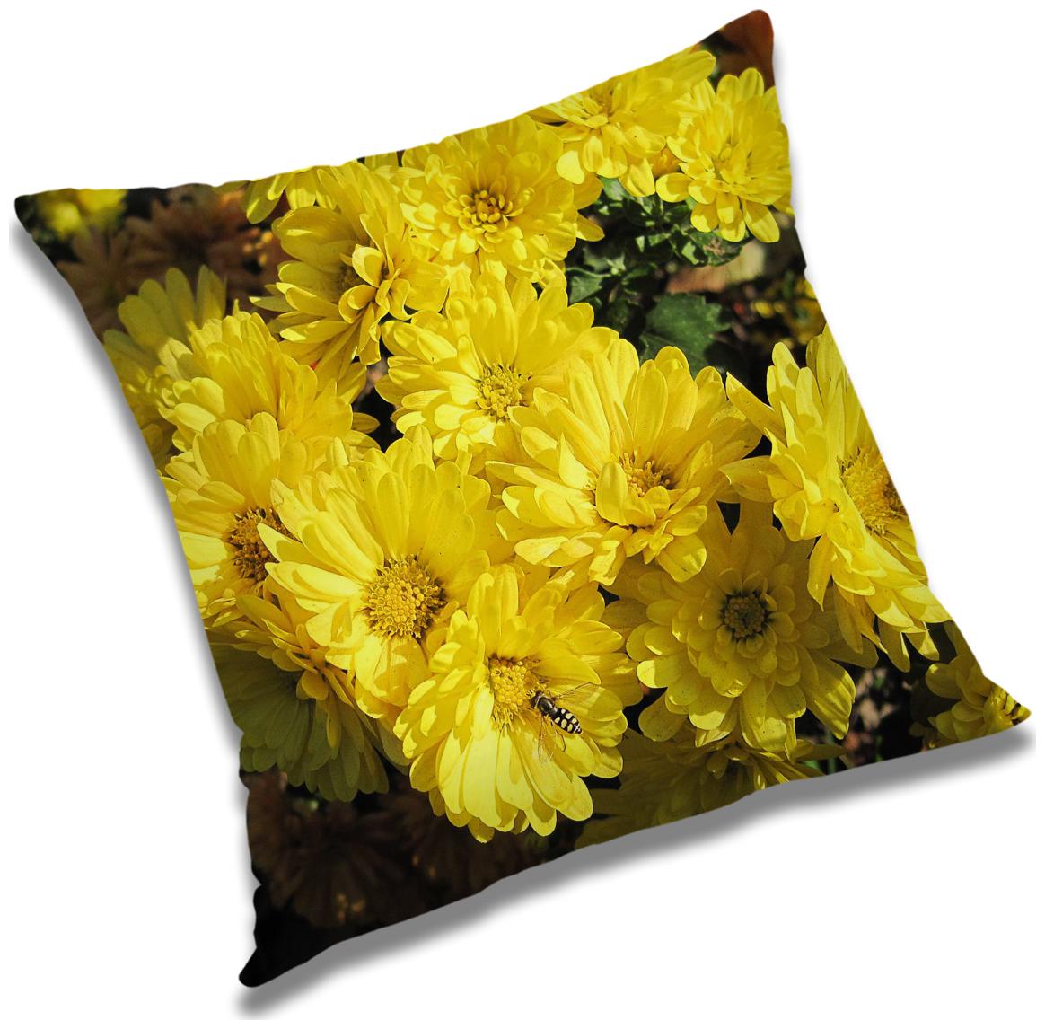 https://assetscdn1.paytm.com/images/catalog/product/H/HO/HOMRADANYA-FLORRADA993403AC26C4EA/1563117961926_0..jpg