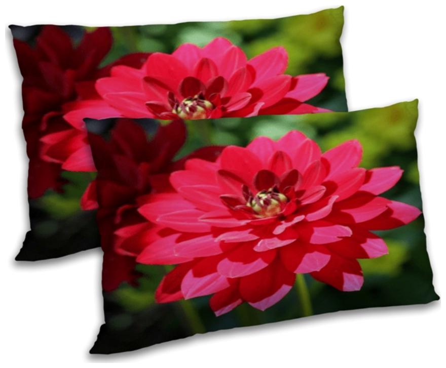 

RADANYA Floral Printed Pillow Set- 18x27 inch