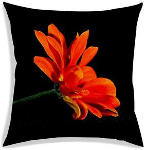 RADANYA Floral Polyester Yellow Cushion Cover ( Small , Pack of 1 )