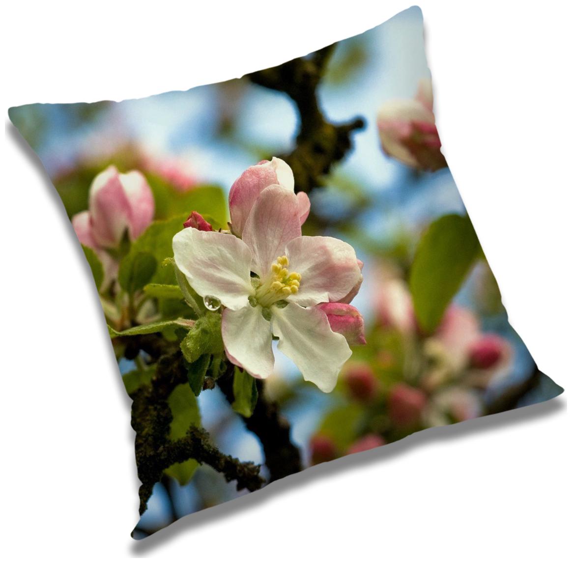 https://assetscdn1.paytm.com/images/catalog/product/H/HO/HOMRADANYA-FLORRADA993403B5B1883B/1563047620597_0..jpg