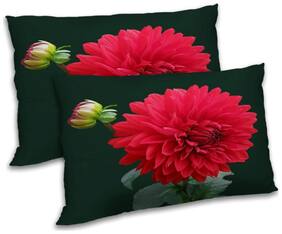 RADANYA Polyester Floral Pillow Covers ( Pack of 2 , Multi )