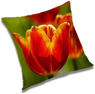 RADANYA Floral Cushion Cover 24x24 inch