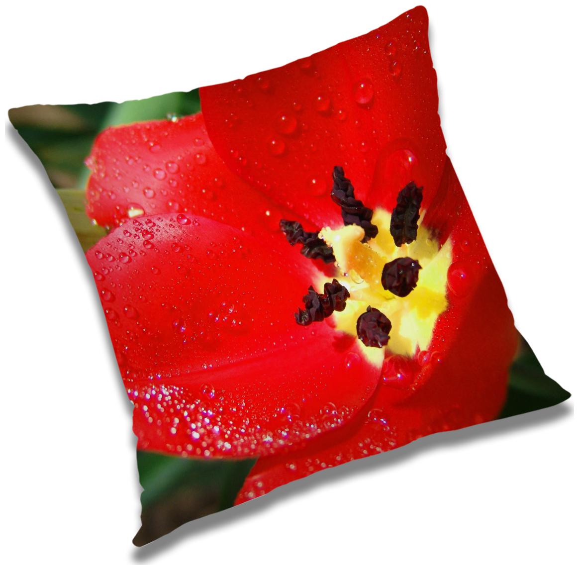 https://assetscdn1.paytm.com/images/catalog/product/H/HO/HOMRADANYA-FLORRADA993403D0DEF5E/1563045459438_0..jpg