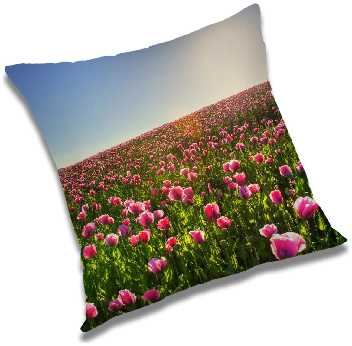 https://assetscdn1.paytm.com/images/catalog/product/H/HO/HOMRADANYA-FLORRADA993403D665B477/1563045771542_0..jpg