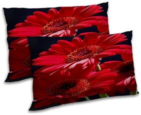 RADANYA Polyester Printed Pillow Covers ( Pack of 2 , Multi )