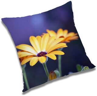 RADANYA Floral Cushion Cover 18x18 inch