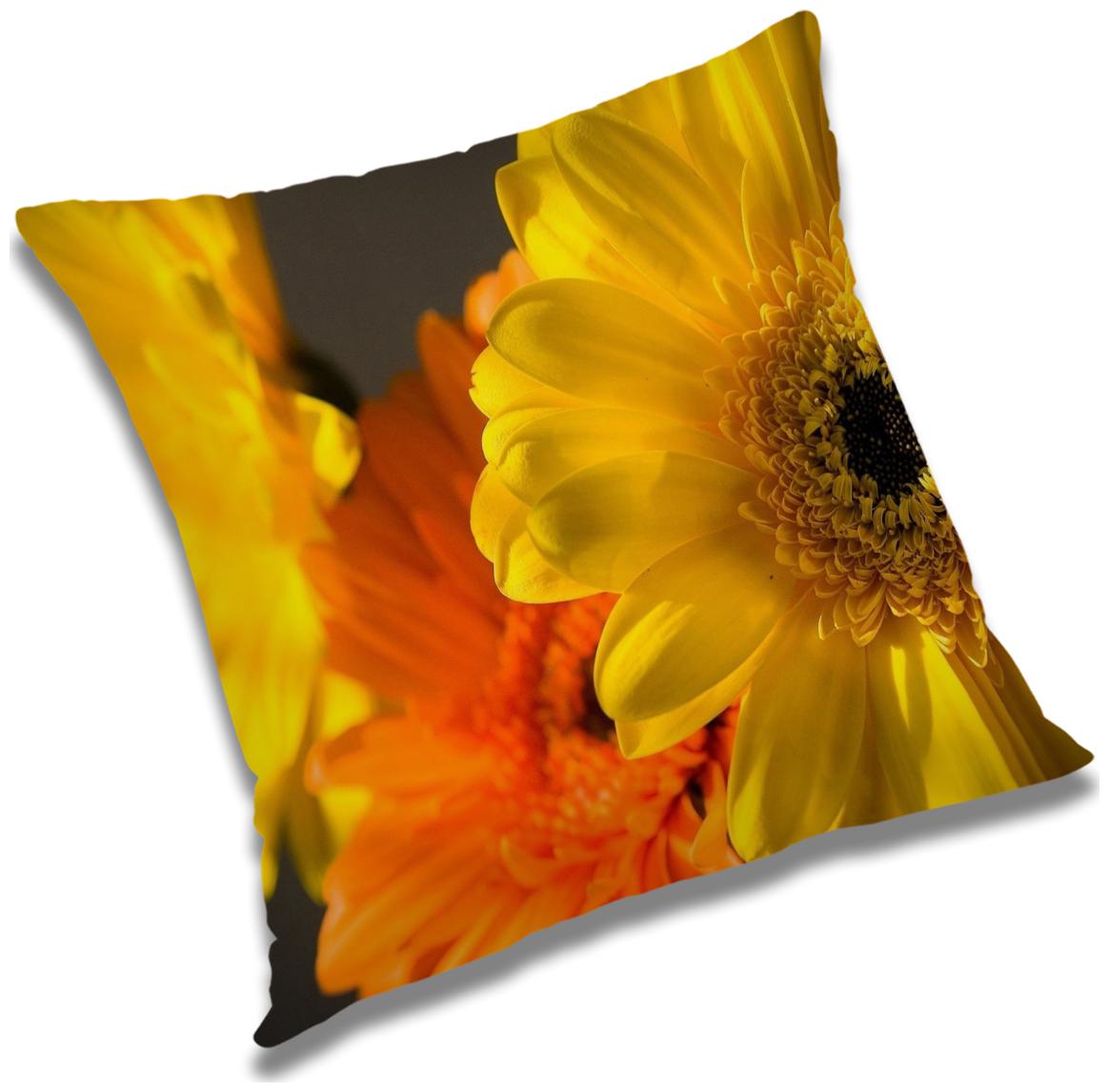 https://assetscdn1.paytm.com/images/catalog/product/H/HO/HOMRADANYA-FLORRADA993403F233901C/1563045496758_0..jpg