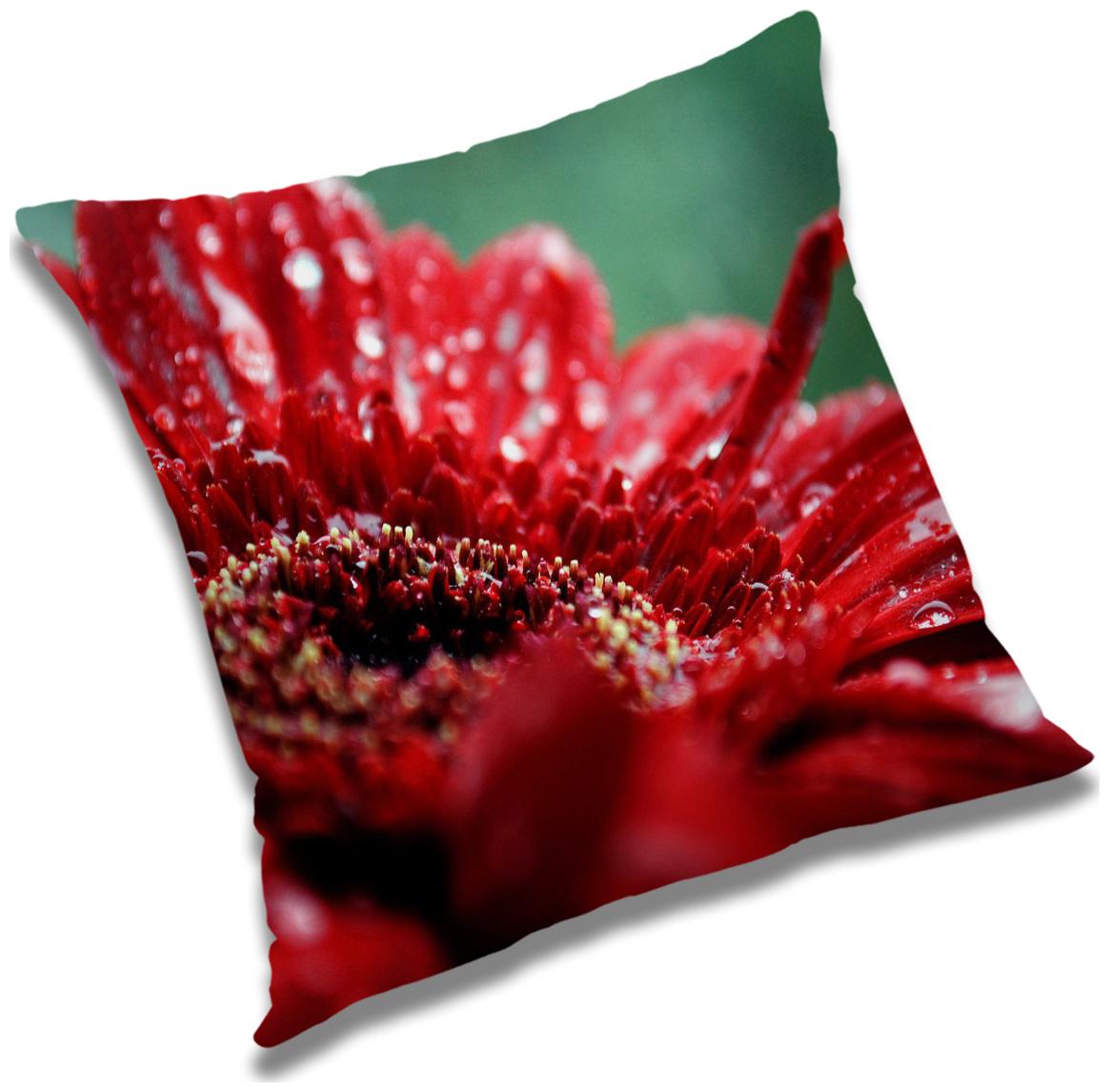 https://assetscdn1.paytm.com/images/catalog/product/H/HO/HOMRADANYA-FLORRADA993403F5BF4918/1563107889599_0..jpg