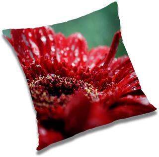 RADANYA Floral Cushion Cover 20x20 inch