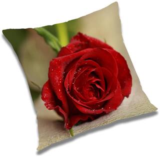 RADANYA Floral Cushion Cover 24x24 inch