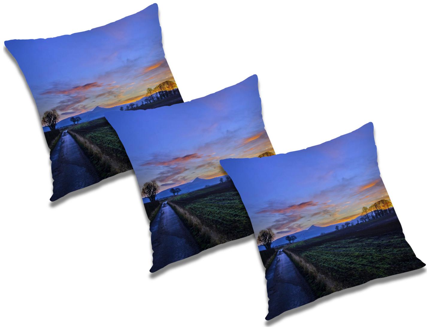 

RADANYA Printed Polyester Blue Cushion Cover ( Regular Pack of 3 )