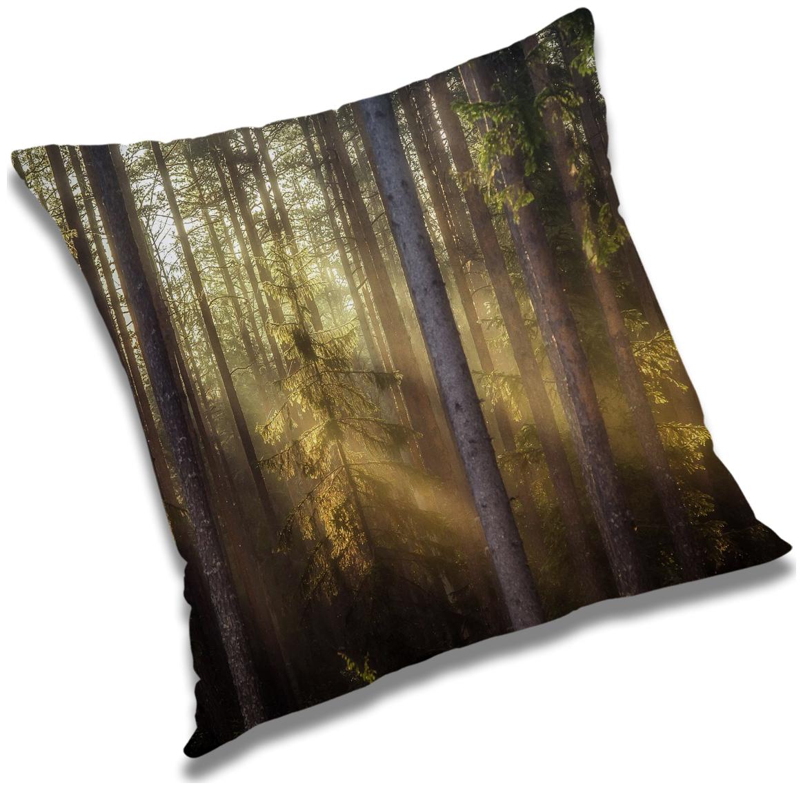 https://assetscdn1.paytm.com/images/catalog/product/H/HO/HOMRADANYA-NATURADA99340342C5FD72/1563046106795_0..jpg