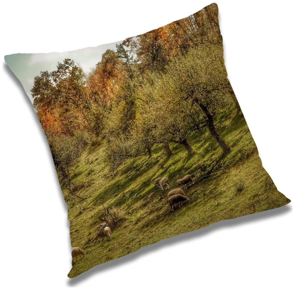 https://assetscdn1.paytm.com/images/catalog/product/H/HO/HOMRADANYA-NATURADA99340345C36995/1563045738340_0..jpg