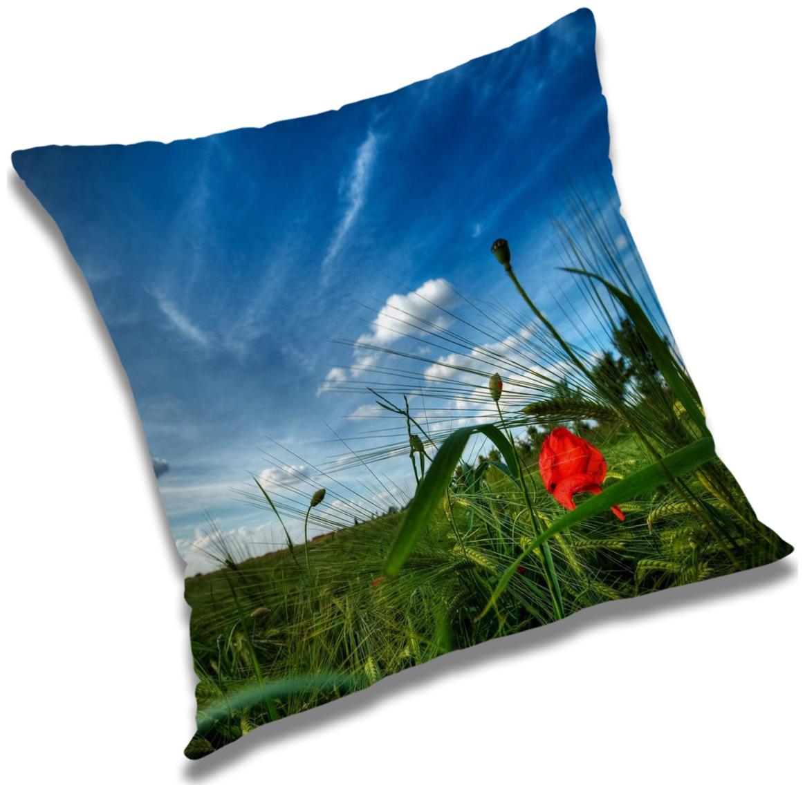 https://assetscdn1.paytm.com/images/catalog/product/H/HO/HOMRADANYA-NATURADA99340347FB620/1563045895360_0..jpg