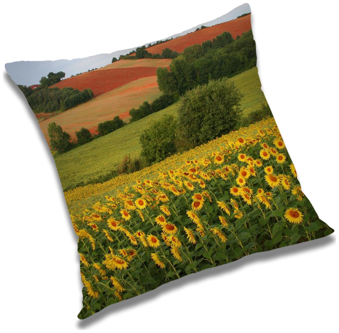 https://assetscdn1.paytm.com/images/catalog/product/H/HO/HOMRADANYA-NATURADA993403615D9C92/1563045475272_0..jpg
