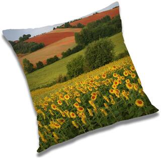 RADANYA Natural Cushion Cover 20x20 inch