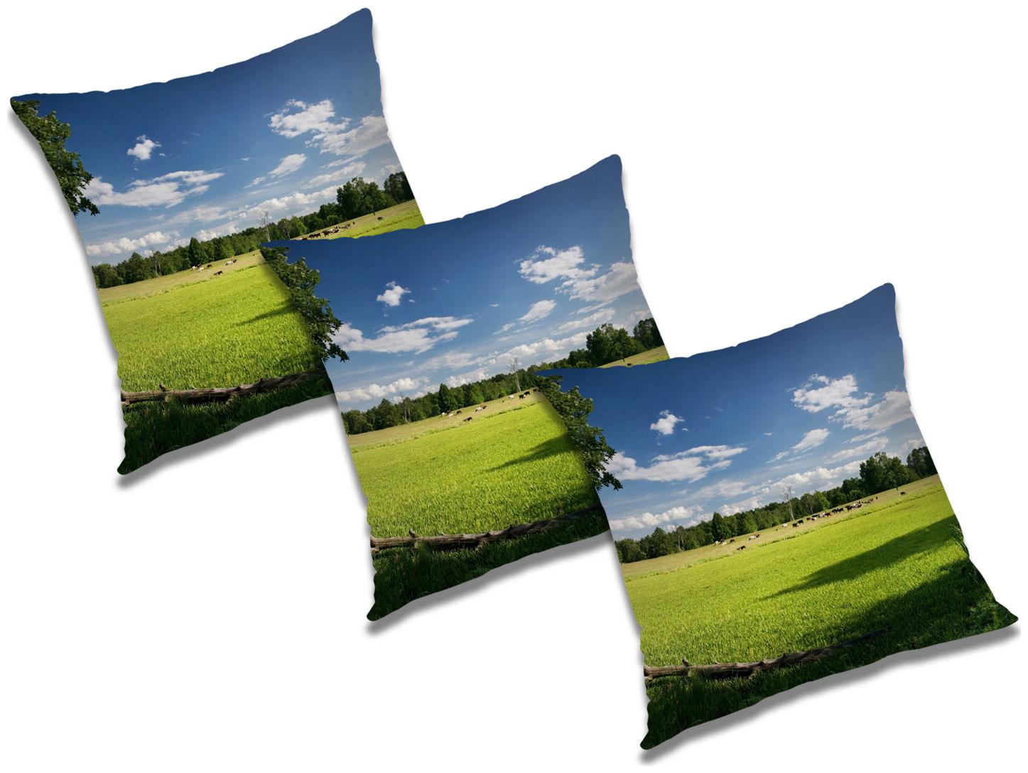 

RADANYA Natural Cushion Cover (Set of 3) 24x24 inch