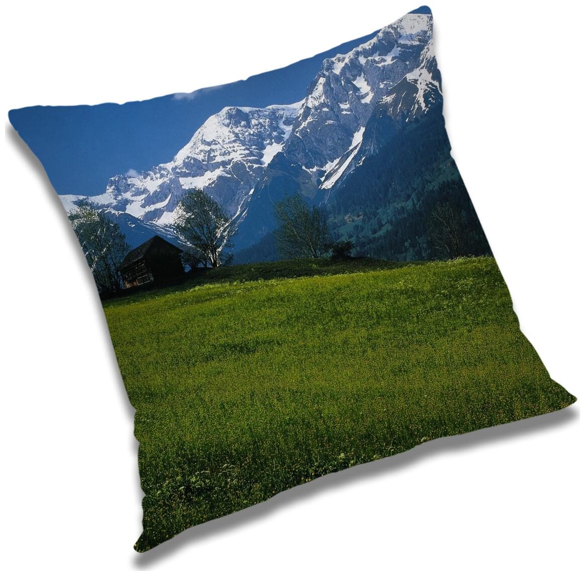 https://assetscdn1.paytm.com/images/catalog/product/H/HO/HOMRADANYA-NATURADA9934036B80AFE4/1563118125753_0..jpg
