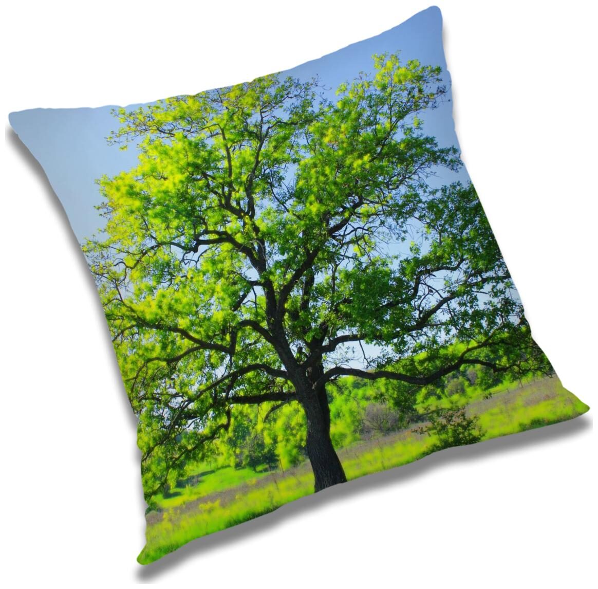 https://assetscdn1.paytm.com/images/catalog/product/H/HO/HOMRADANYA-NATURADA9934036C659FA6/1563118241889_0..jpg