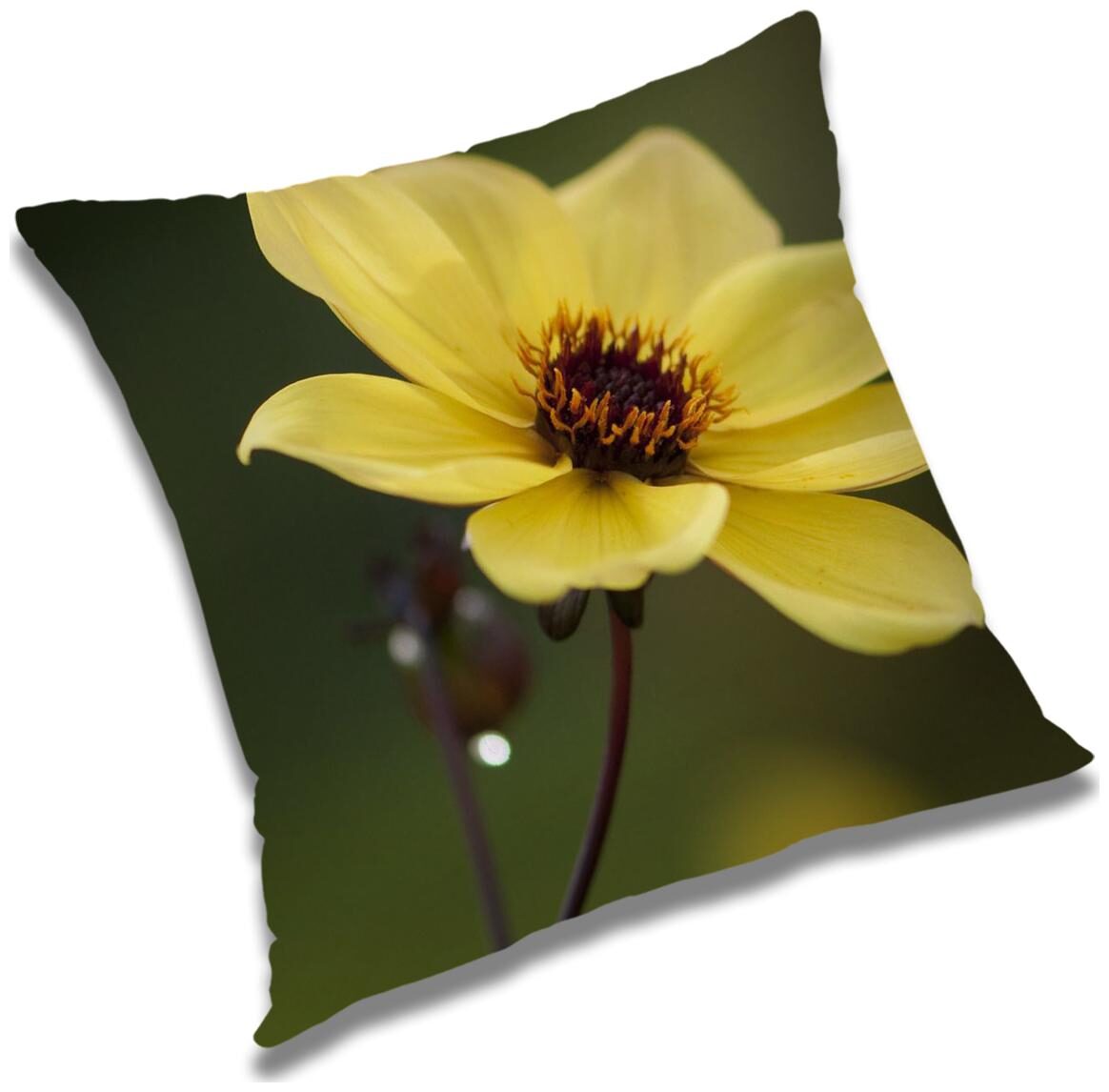 

RADANYA Natural Cushion Cover 24x24 inch