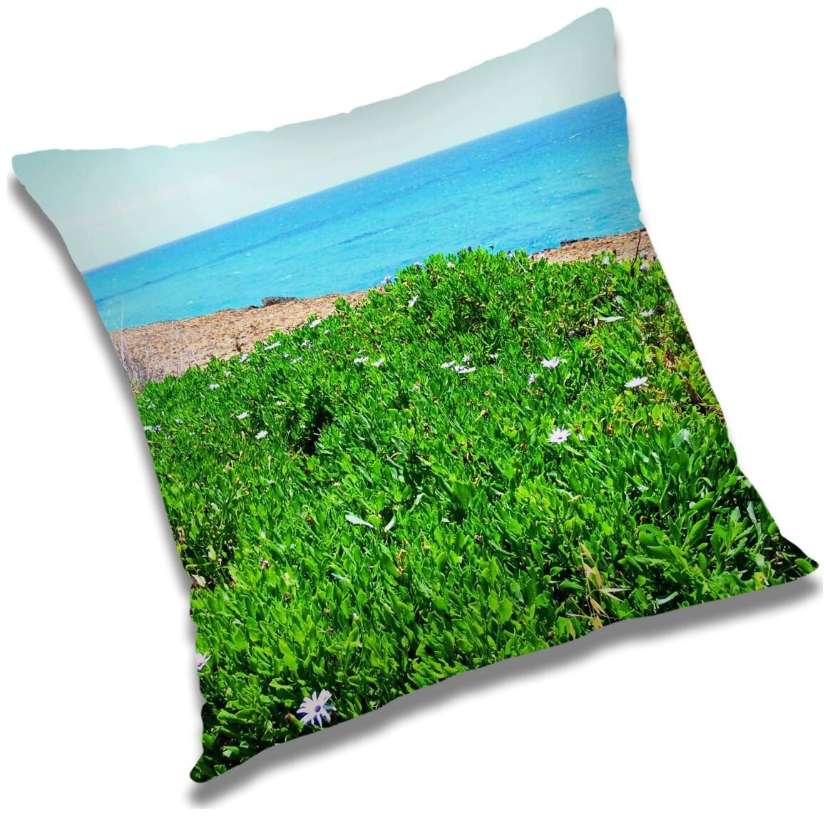 https://assetscdn1.paytm.com/images/catalog/product/H/HO/HOMRADANYA-NATURADA9934037A58B86C/1563045871036_0..jpg