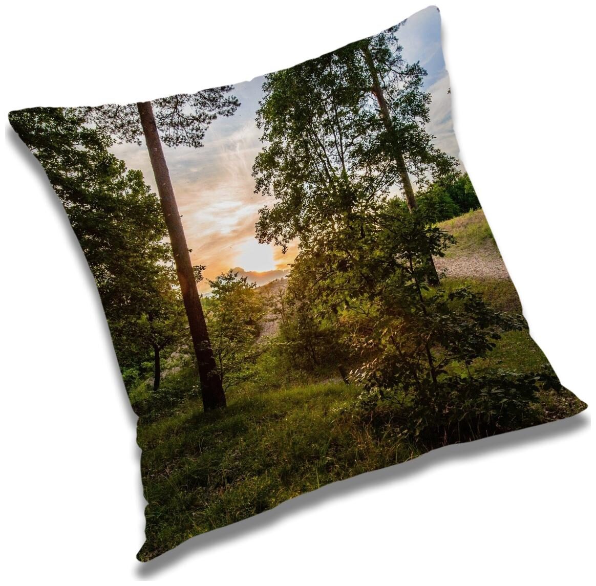 https://assetscdn1.paytm.com/images/catalog/product/H/HO/HOMRADANYA-NATURADA99340390406D41/1563047131646_0..jpg