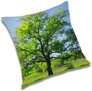 RADANYA Natural Cushion Cover 12x12 inch