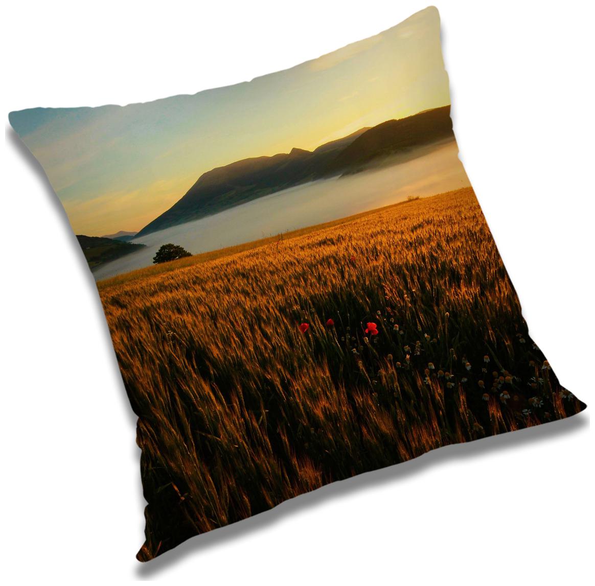 https://assetscdn1.paytm.com/images/catalog/product/H/HO/HOMRADANYA-NATURADA9934039D6B41C7/1563046266834_0..jpg