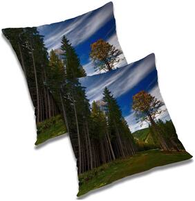 RADANYA Printed Polyester Blue Cushion Cover ( Extra large , Pack of 2 )