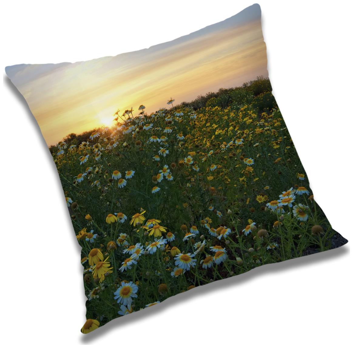 https://assetscdn1.paytm.com/images/catalog/product/H/HO/HOMRADANYA-NATURADA993403A51839D4/1563081156316_0..jpg