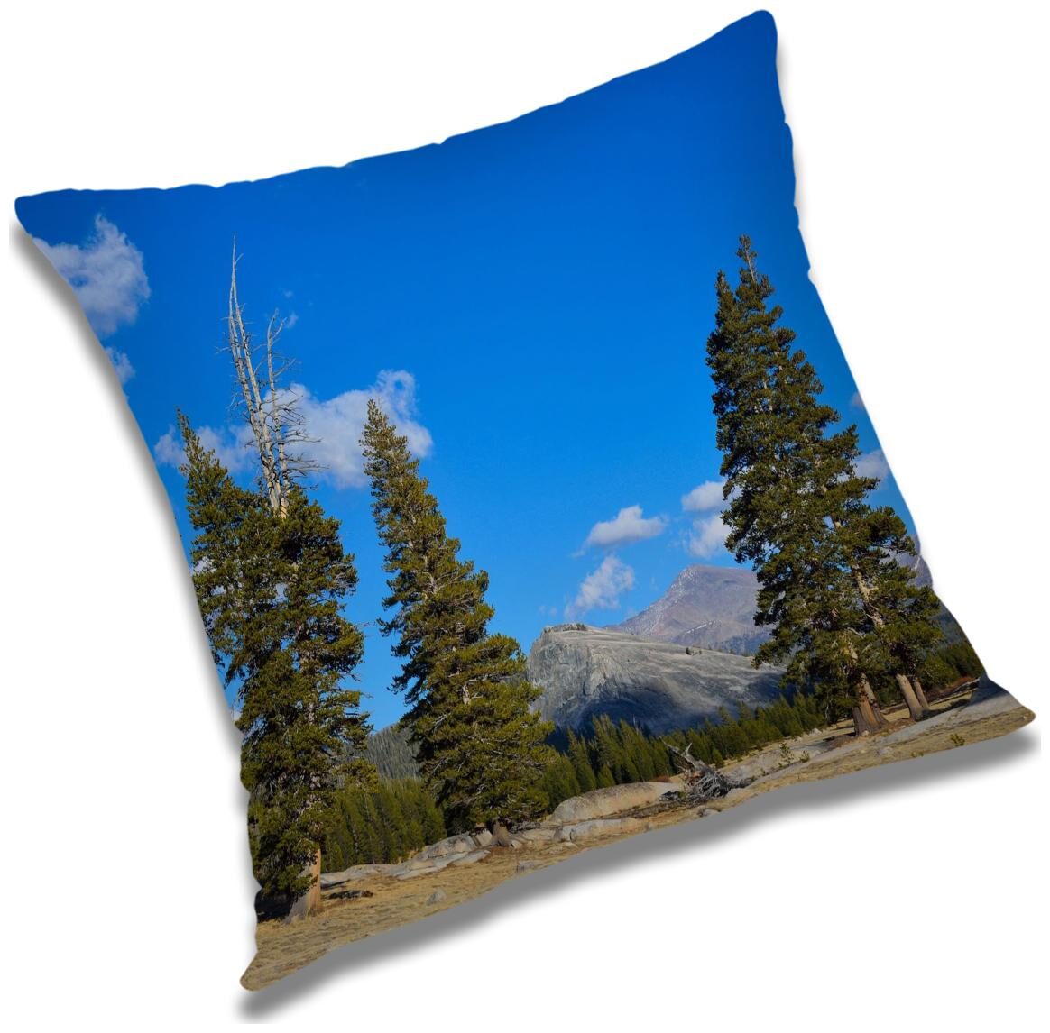https://assetscdn1.paytm.com/images/catalog/product/H/HO/HOMRADANYA-NATURADA993403AE53367D/1563045551683_0..jpg