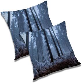 RADANYA Printed Polyester Blue Cushion Cover ( Regular , Pack of 2 )
