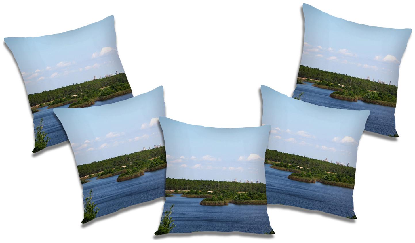 

RADANYA Printed Polyester Blue Cushion Cover ( Regular Pack of 5 )