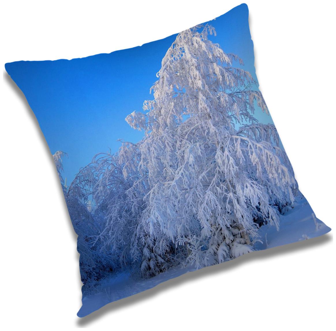 https://assetscdn1.paytm.com/images/catalog/product/H/HO/HOMRADANYA-NATURADA993403C627DC9C/1563117969632_0..jpg