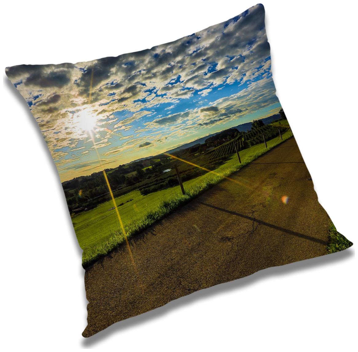 

RADANYA Printed Polyester Blue Cushion Cover ( Large Pack of 1 )