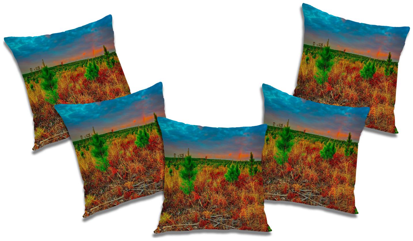 

RADANYA Natural Cushion Cover (Set of 5) 24x24 inch
