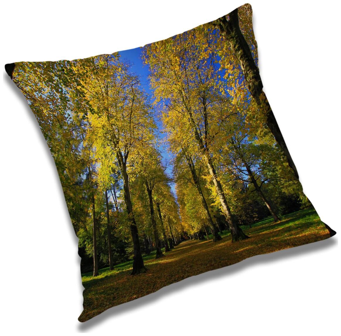 https://assetscdn1.paytm.com/images/catalog/product/H/HO/HOMRADANYA-NATURADA993403E950C65F/1563045710426_0..jpg