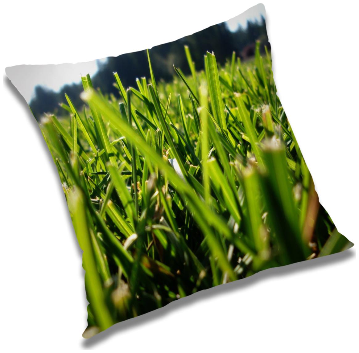 

RADANYA Printed Polyester Green Cushion Cover ( Large Pack of 1 )