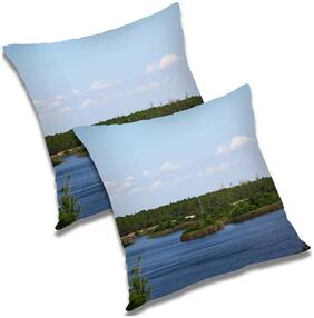 RADANYA Printed Polyester Blue Cushion Cover ( Large , Pack of 2 )
