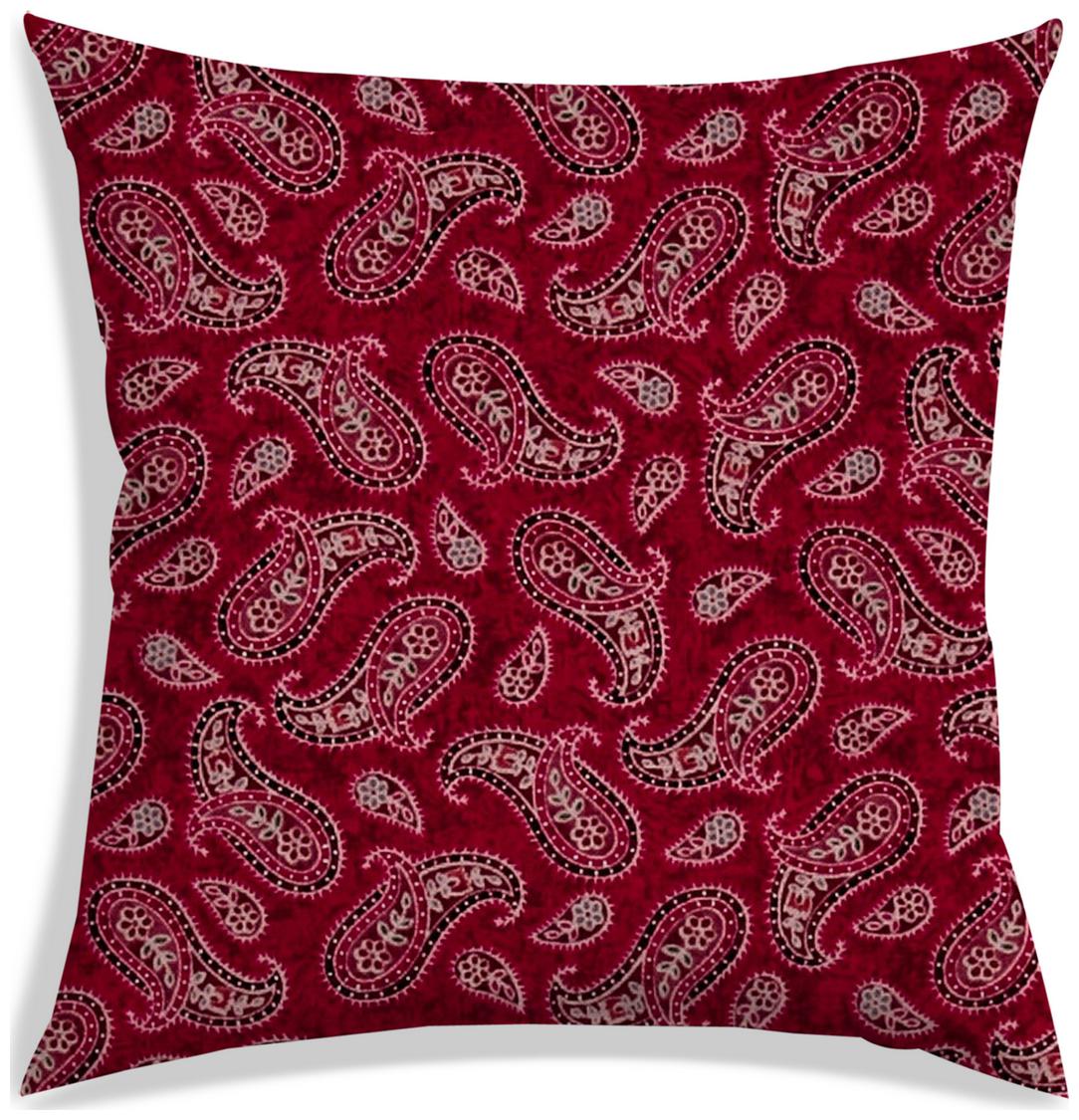 https://assetscdn1.paytm.com/images/catalog/product/H/HO/HOMRADANYA-PAISRADA993403CFB66511/1563118395412_0..jpg