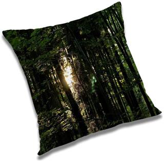RADANYA Printed Cushion Cover with Filler Set 18x18 inch