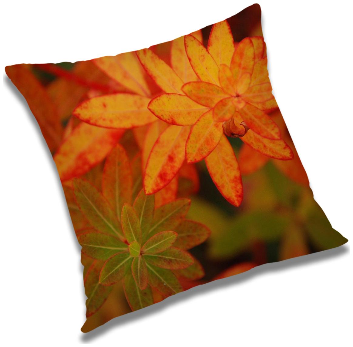 

RADANYA Printed Cushion Cover with Filler Set 20x20 inch