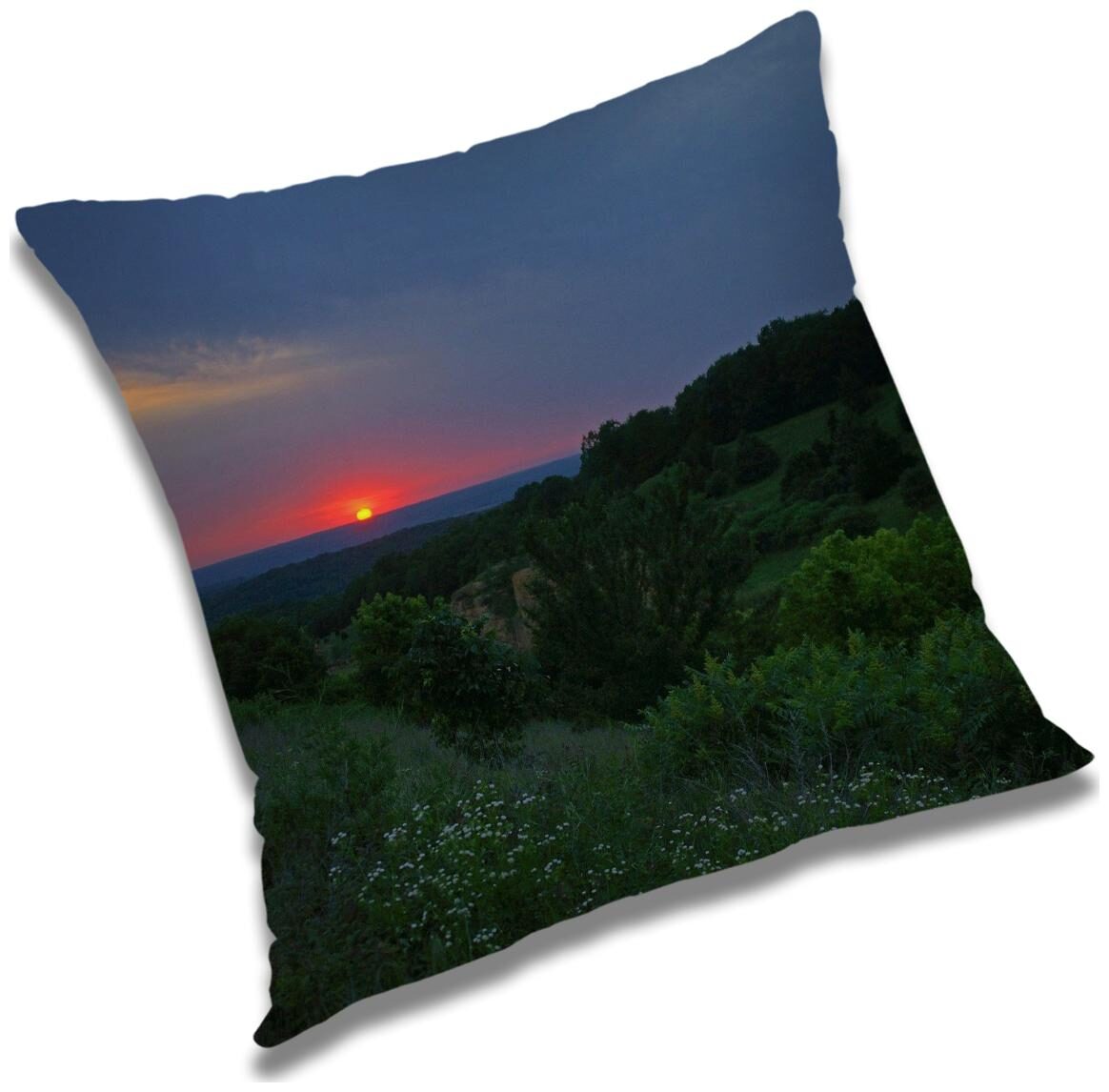 

RADANYA Printed Cushion Cover with Filler Set 24x24 inch
